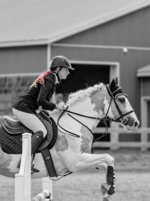 Regional Dressage and Show Jumping